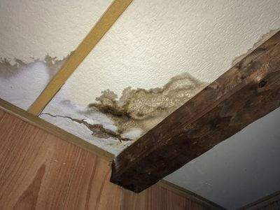 Professional water damage restoration services in Calgary